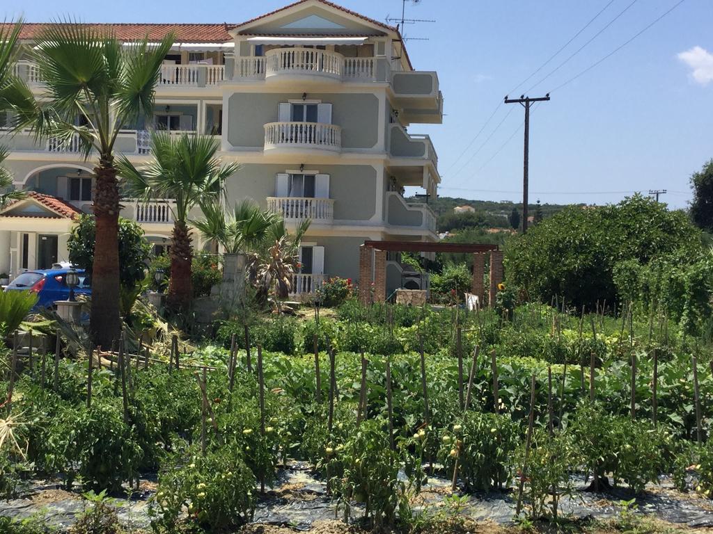 Hotel Villa Basil Tsilivi  Zewnętrze zdjęcie