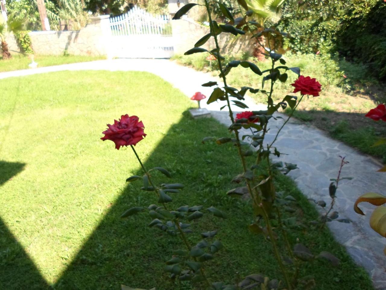 Hotel Villa Basil Tsilivi  Zewnętrze zdjęcie
